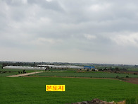 서귀포시 대정읍 신도리 ..