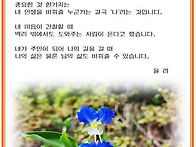 [명상] 삶의 주인