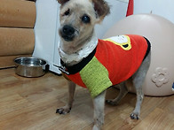 쉼터를 정리하며...