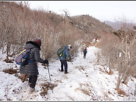 제59차 태백 함백산 201..