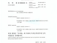 전도 방지형 연약지반 개량..