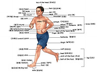 우리 몸의 부분들은 이렇게..