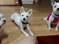 우리집새끼들^^