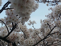 고흥 팔영산 사진..