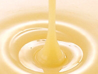 로얄젤리의 효능 ..