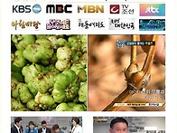 녹각우슬통풍탕(진..