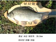 -- 대요지 꼬리 부러진 4..