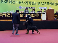 벨러 FCI전람회