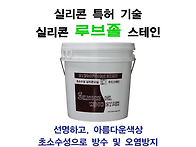 스테인 루브졸 스테인