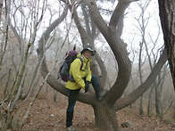 사자평으로해서 천황산 등..