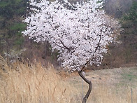 공부하는 엄마들을 위하여