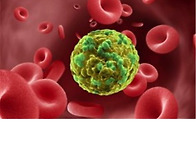 암 치료에 효과적인 광선치..