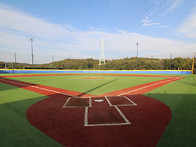 드론으로 본 구장전경