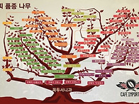 COFFEE FAMILY TREE..