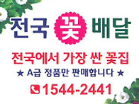 목포꽃배달/남악꽃..