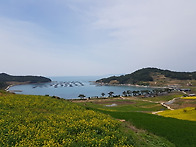 18.4.16-17 봄의 왈츠, ..