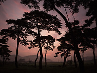  창작반 과제를 올림니다 ..