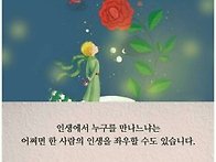 《아시아 최고 갑..