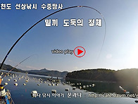 바다낚시 거제 칠..