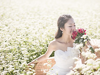 Outdoor Photograph..