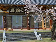 송림사