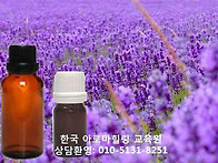 DIY 도구- 오일용 스포이드..