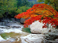 한국의 비경 100곳