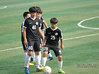 1학년 7.20 신답초...1