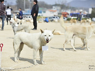 청주에서 행운이