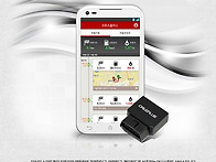 크루즈플러스(공동구매)