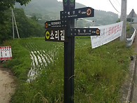 ((제42차 부산대선..