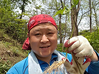 약초산행