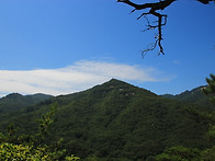 진대산 들국화님 작품