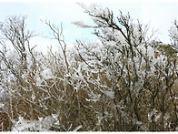 2020. 01. 12(일) 제5..
