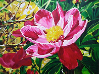 여름의 길목에서..