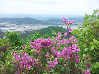 지리산 바래봉.