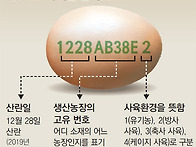 회원가입은 네이버 카페_..