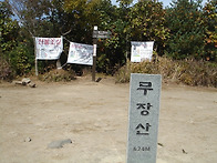 경주 무장산 억새