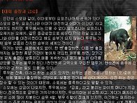 일본소싸움의 투우이것저것..