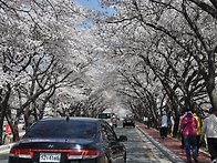 경주 수도산가는길~~^*^