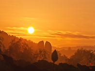 ﻿초여름 연못..