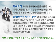 페이로더 패이로더 로우더..