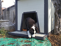 2016-12-28 견사 주문제작..