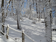 우암산-산성