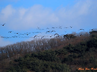 두루미 쉼터에서