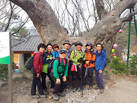 고려산 진달래축제