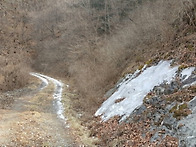 오서산에 봄