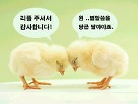 ◐아름다운 인생을위한 지..