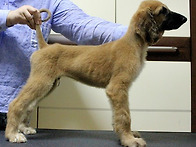 CH TK 와 CH 야호 아가들..