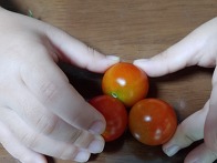 싱싱한 토마토^^